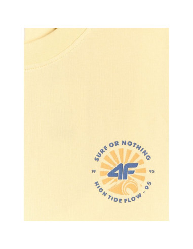 T-shirt regular z nadrukiem męski 4f 4frss26ttshm4293-73s