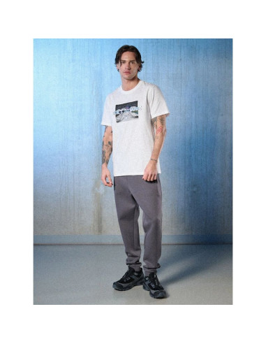 T-shirt regular z nadrukiem męski 4f 4frss26ttshm3658-10s