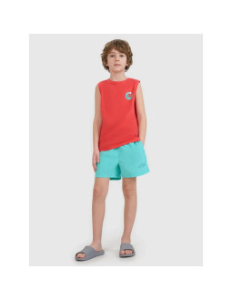 Spodenki plażowe boardshorty chłopięce 4f 4fjwss25ubdsm117-47s