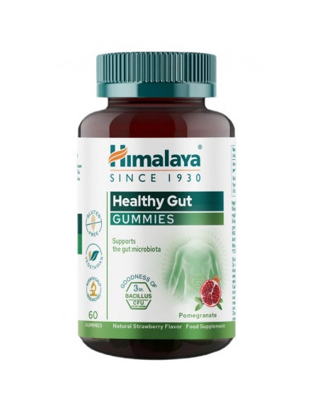 Healthy Gut (60 Żelek)