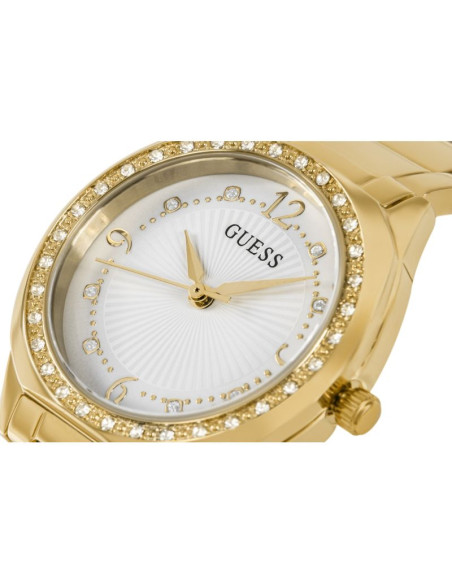 Zegarek damski guess charlotte gw0767l2 + box