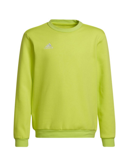 Bluza adidas entrada 22 sweat top jr