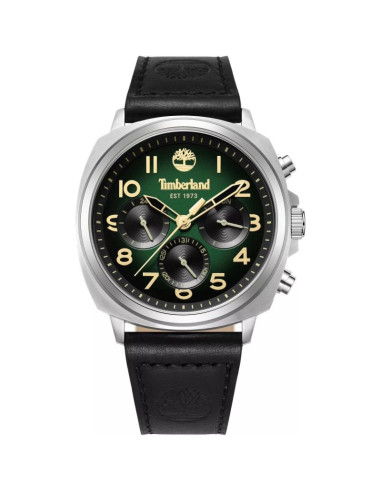 Zegarek męski timberland williston-small tdwgb0042008 + box