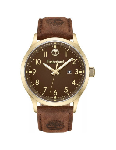 Zegarek męski timberland trumbull tdwgb0010104 + box