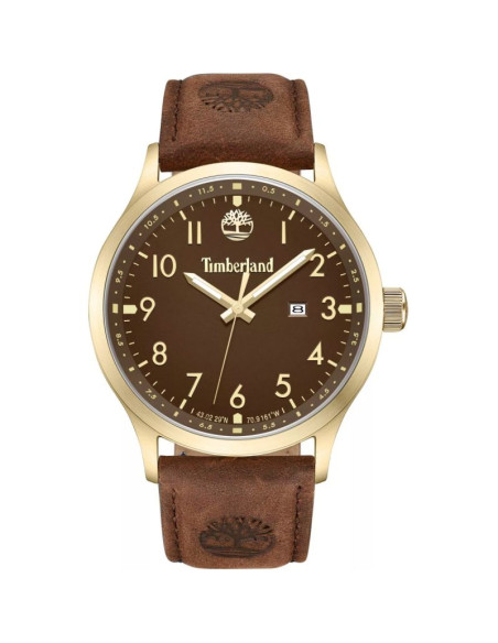 Zegarek męski timberland trumbull tdwgb0010104 + box