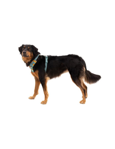 Szelki dla psa ruffwear front range harness xs - spring mountains