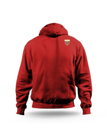 Bluza polonia bytom legacy