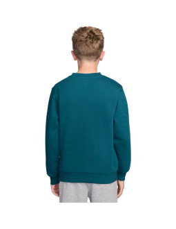 Bluza dla dzieci nike sportswear club fleece zielona fd3006 372 2
