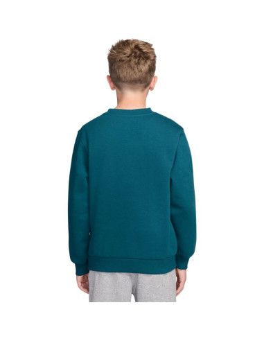 Bluza dla dzieci nike sportswear club fleece zielona fd3006 372