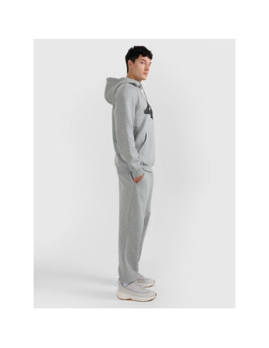Spodnie dresowe joggery męskie 4f 4frmm00ttrom1625-27m