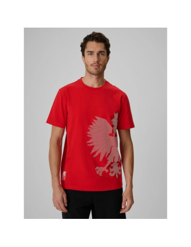T-shirt bawełniany kibica męski 4f 4frss26ttshm4200-62s