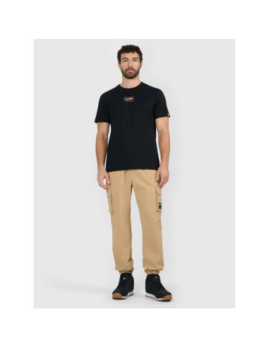 T-shirt regular z nadrukiem męski 4f 4fraw25ttshm3377-20s
