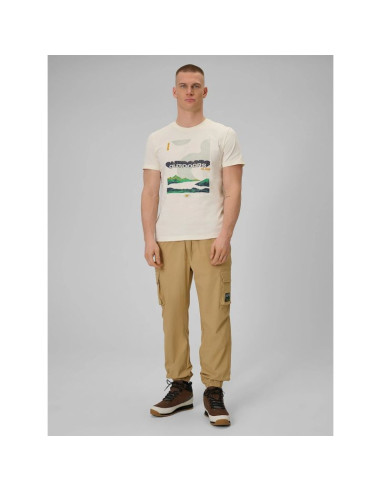 T-shirt regular z nadrukiem męski 4f 4fraw25ttshm3378-11s