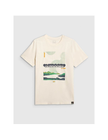 T-shirt regular z nadrukiem męski 4f 4fraw25ttshm3378-11s