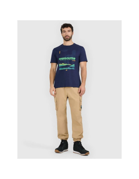 T-shirt regular z nadrukiem męski 4f 4fraw25ttshm3378-31s