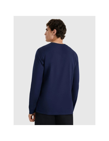 Longsleeve regular z nadrukiem męski 4f 4fraw25tlonm606-31s