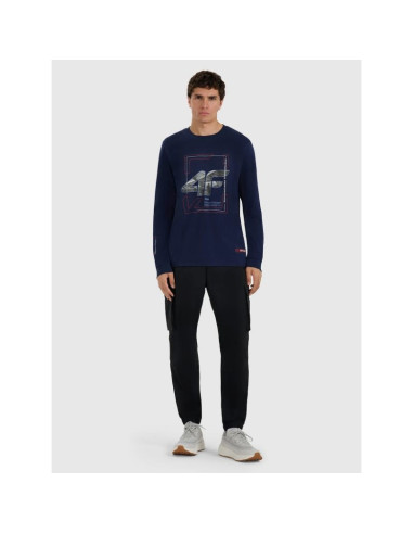 Longsleeve regular z nadrukiem męski 4f 4fraw25tlonm606-31s