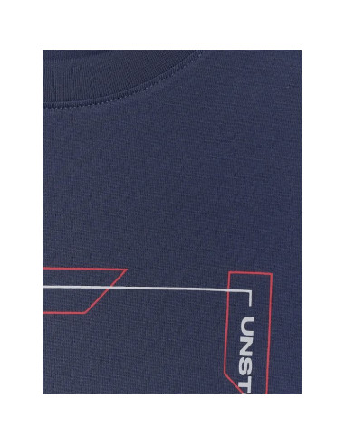 Longsleeve regular z nadrukiem męski 4f 4fraw25tlonm606-31s