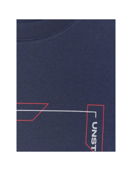 Longsleeve regular z nadrukiem męski 4f 4fraw25tlonm606-31s