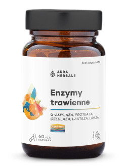 Enzymy Trawienne Digezyme (60 Kaps.)