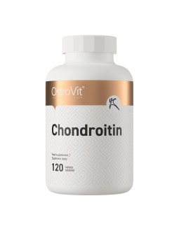 Chondroityna (120 Tabl.)
