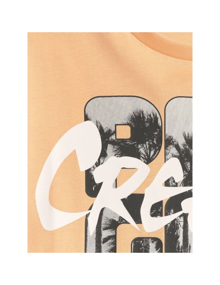 T-shirt bawełniany chłopięcy 4f 4fjrss26ttshm4167-70s
