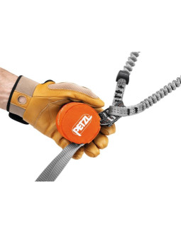 Petzl scorpio eashook