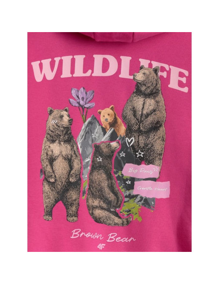 Bluza dresowa loose z kapturem dziewczęca 4f 4fjkaw26tswsf3137-54s