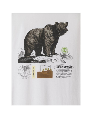 T-shirt regular z nadrukiem męski 4f 4fkaw26ttshm4473-11s