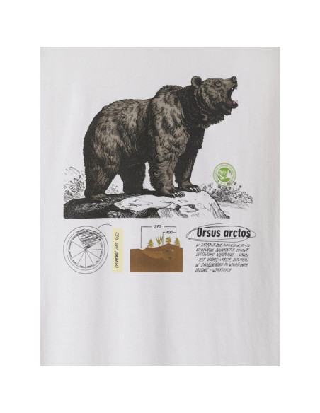 T-shirt regular z nadrukiem męski 4f 4fkaw26ttshm4473-11s
