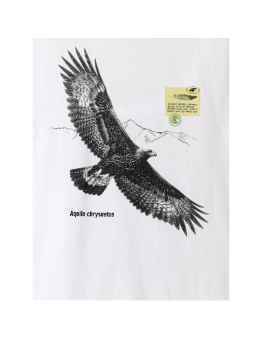 T-shirt regular z nadrukiem męski 4f 4fkaw26ttshm4499-10s