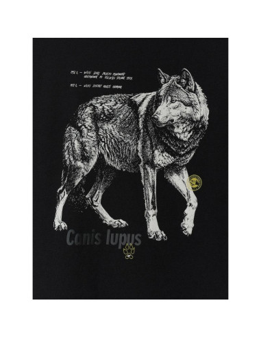 T-shirt regular z nadrukiem męski 4f 4fkaw26ttshm4500-20s