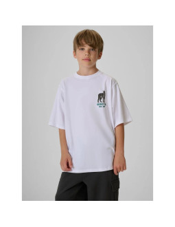 T-shirt regular z nadrukiem chłopięcy 4f 4fjkaw26ttshm4457-10s